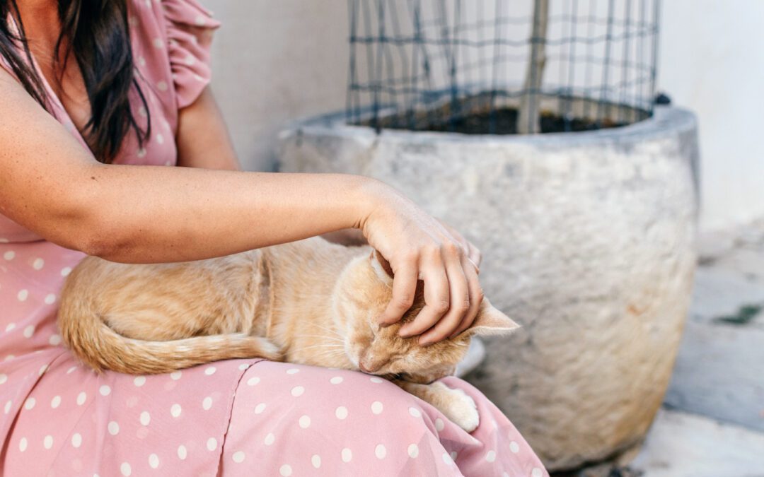 Woman cuddling cat